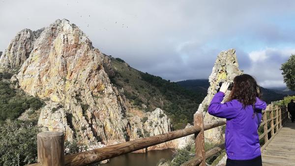 Hier gibt es seltene Vogelarten zu beobachten, zum Beispiel Mönchsgeier und Gänsegeier am Aussichtspunkt "Salto del Gitano"