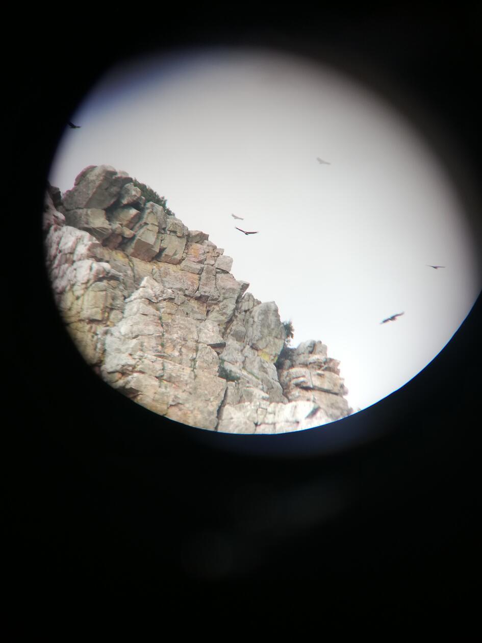 So sieht das dann durch das Fernrohr aus.