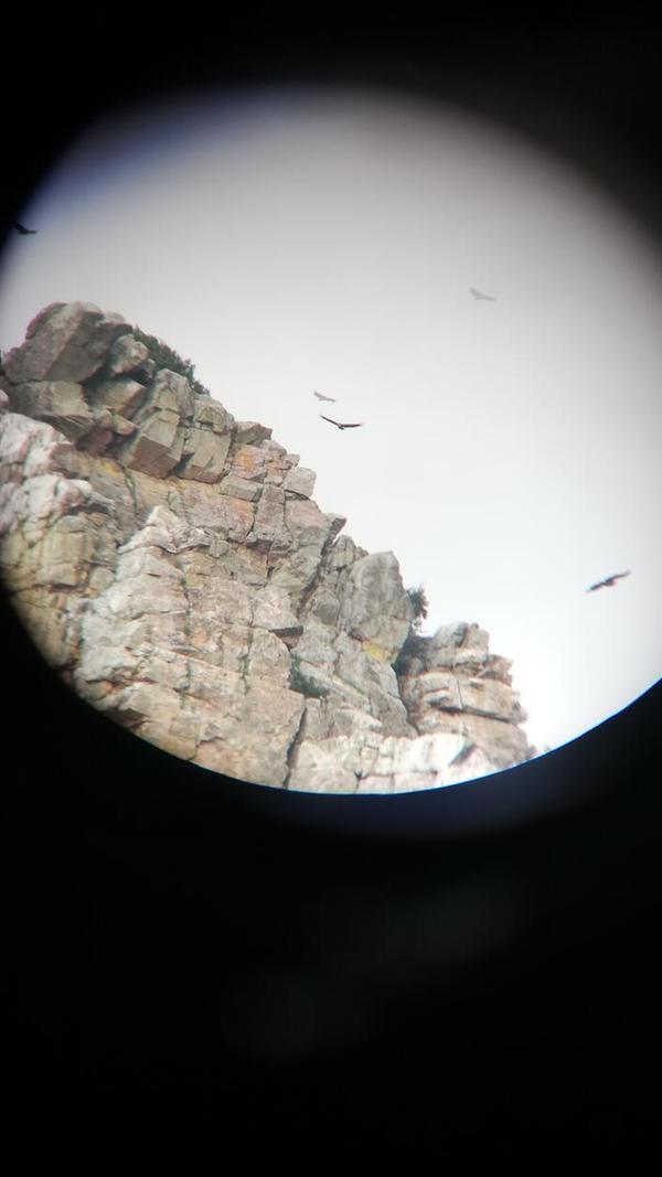 So sieht das dann durch das Fernrohr aus.