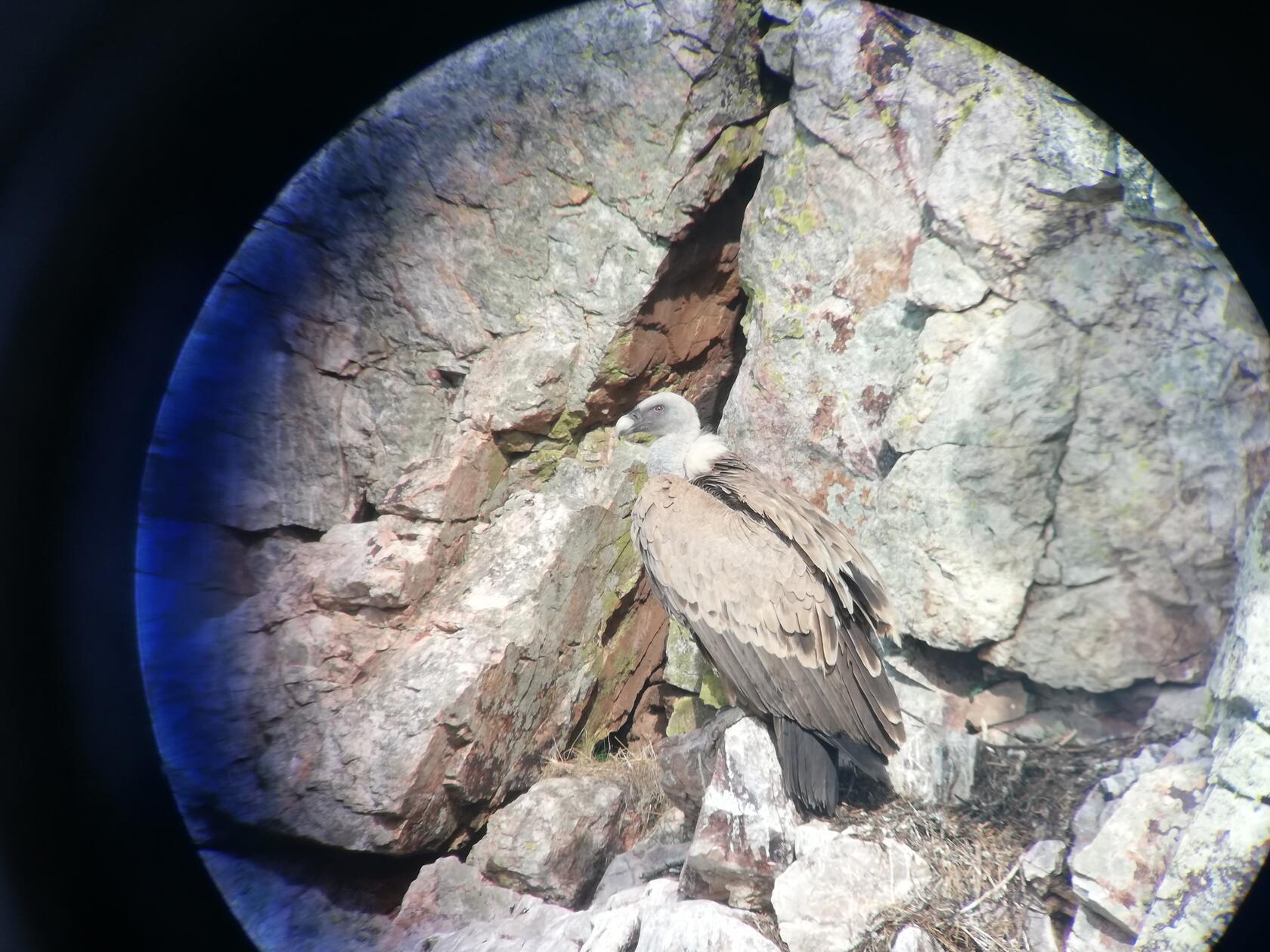 So durch ein besseres Fernrohr.