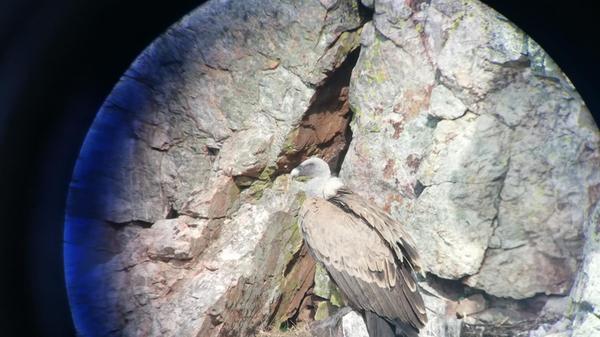 So durch ein besseres Fernrohr.