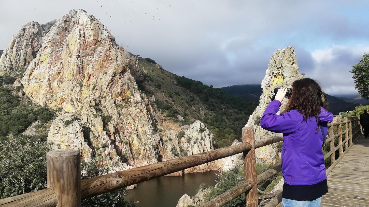 Im Nationalpark Monfragüe lassen sich unter anderem Möchsgeier und Gänsegeier beobachten. Im Nationalpark Monfragüe lassen sich unter anderem Möchsgeier und Gänsegeier beobachten.