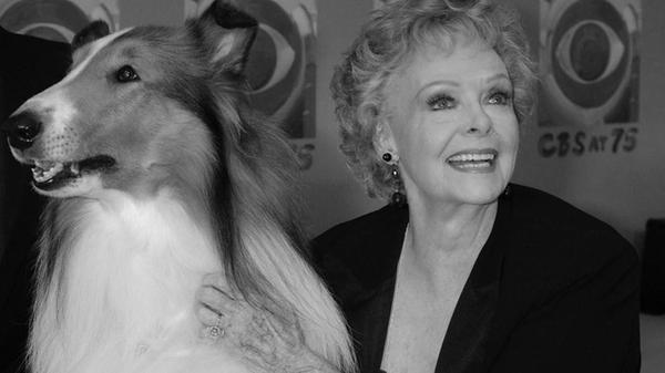 Hollywoodstar June Lockhart, die die Rolle der Ruth Martin, Mutter von Timmy Martin, in der Kult-Serie "Lassie" spielte, ist am 23. Oktober 2025 im Alter von 100 Jahren in ihrem Haus im kalifornischen Santa Monica gestorben, teilte ihr Sprecherteam mit. Bis ins hohe Alter stand die Schauspielerin noch vor der Kamera, vor allem für Serien.