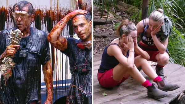 Screenshot 2025-02-01 174442