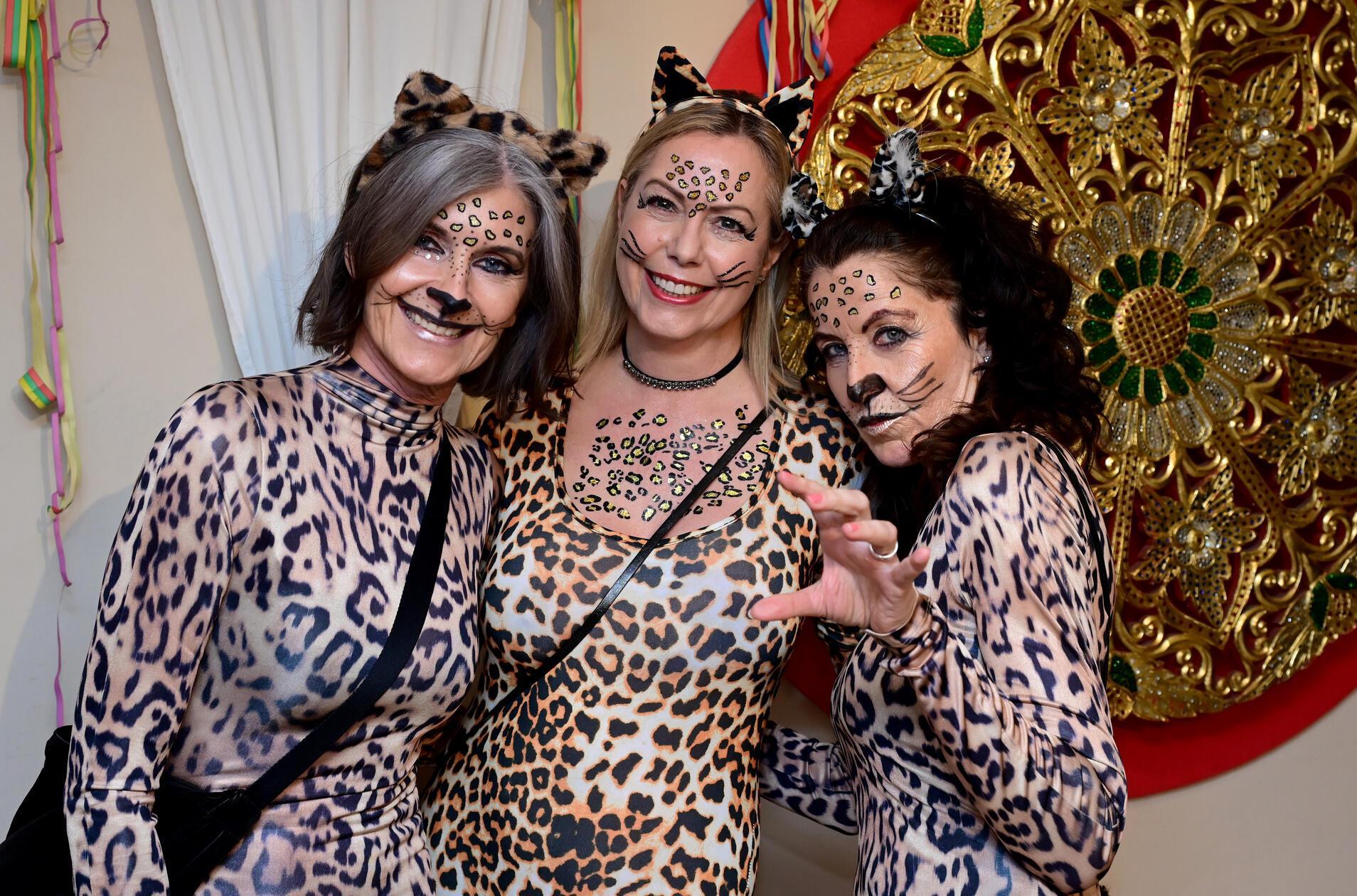 Von süßen Kätzchen und Leoparden,...