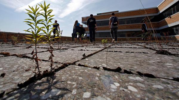 RESSORT: Lokales..DATUM: 20.09.18..FOTO: