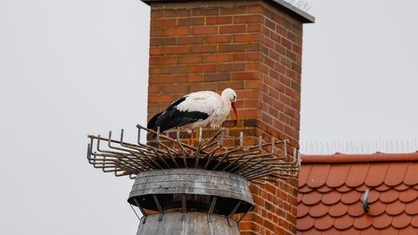 In Vach wurde am Dienstag (28.01.2025) überraschen