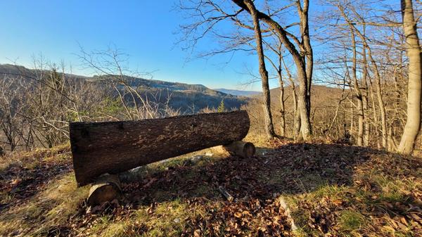 Schöne Aussicht von der Kanzel bei Förrenbach.