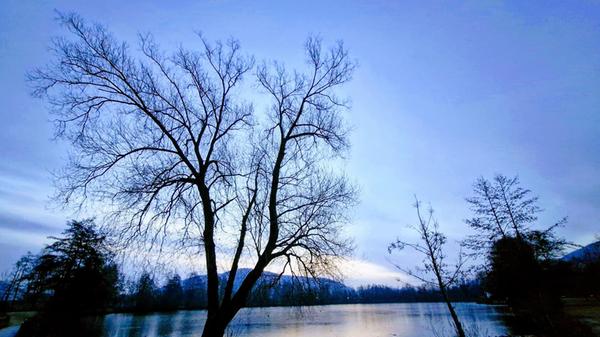 "Blaue Stunde" am Happurger Baggersee.