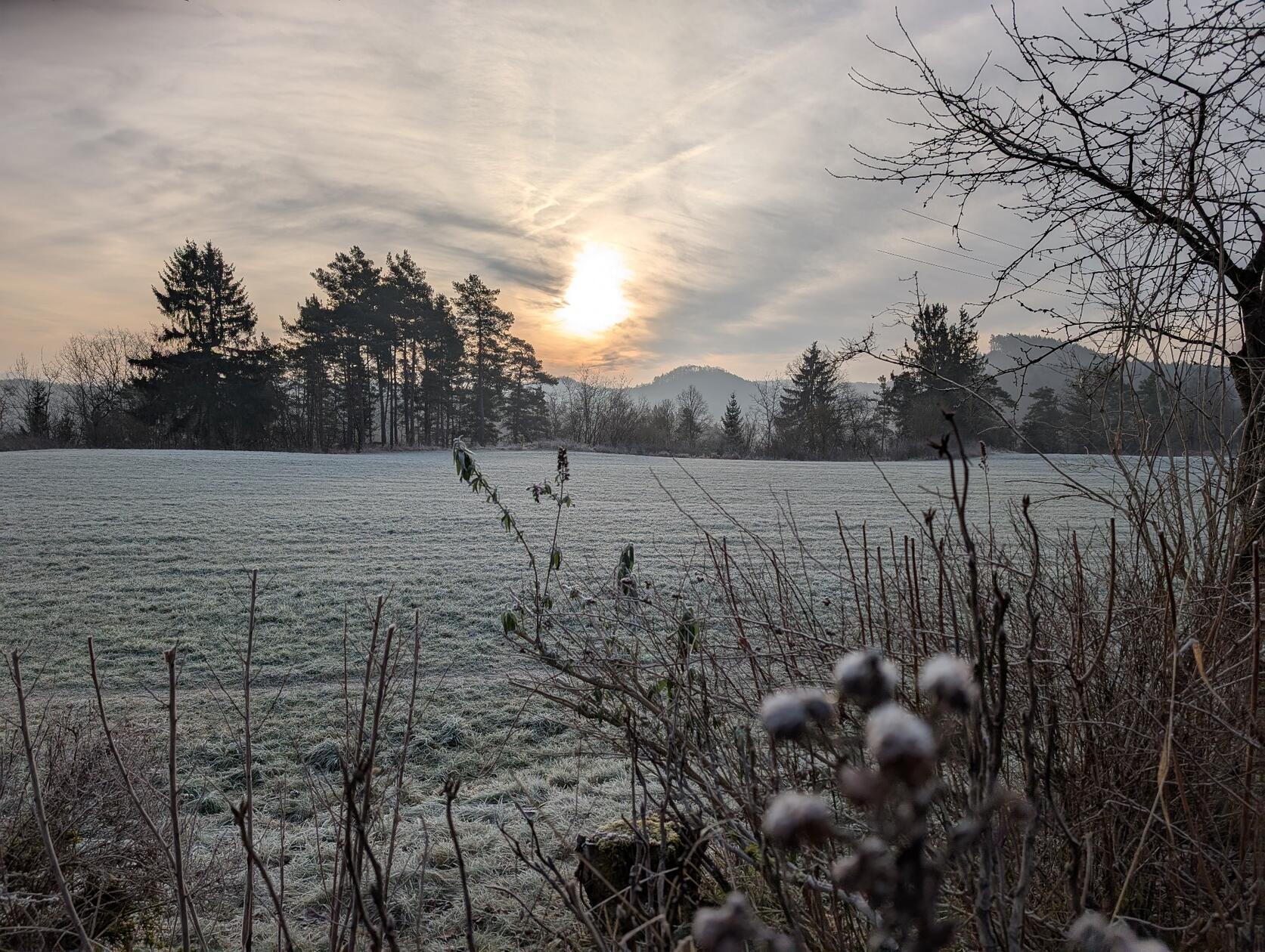Eisiger Morgen mit Blick aus dem Garten unserer Leserfotografin in Velden.