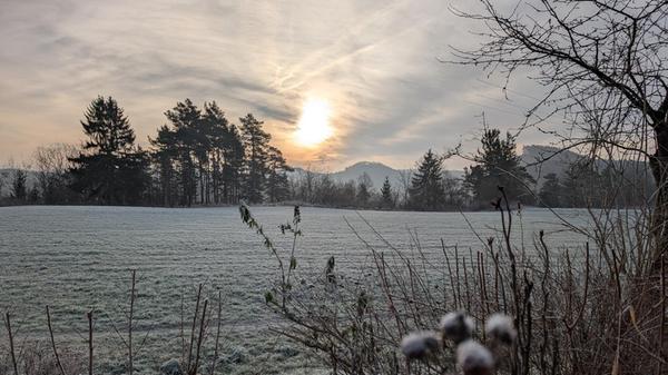 Eisiger Morgen mit Blick aus dem Garten unserer Leserfotografin in Velden.
