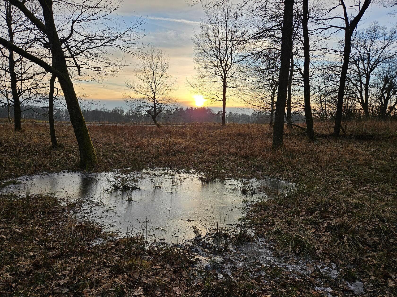 Wasserlache am Parkplatz zum Glatzenstein.