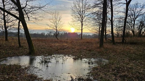 Wasserlache am Parkplatz zum Glatzenstein.