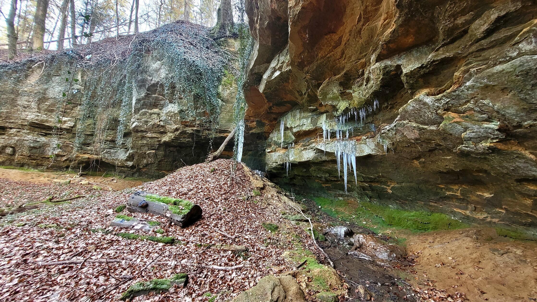 Die Hunnenschlucht bei Happurg.