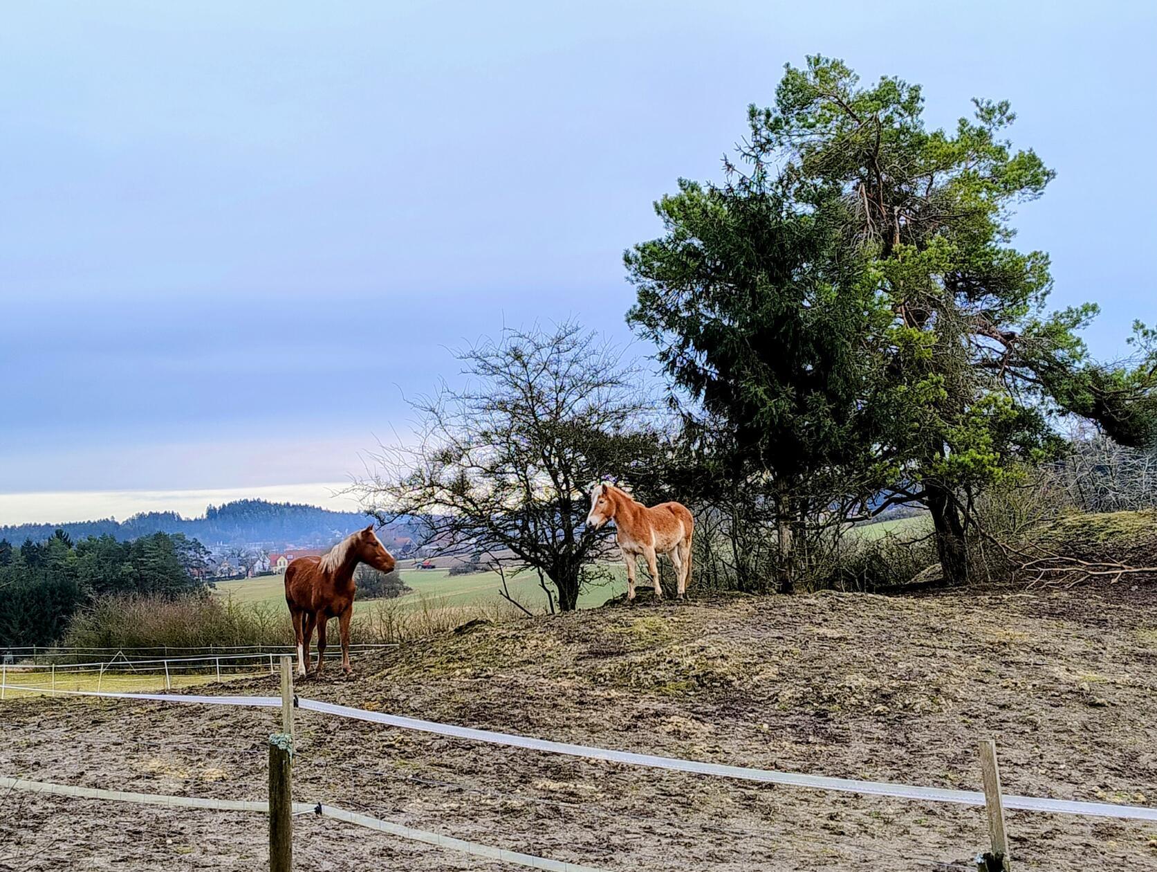 Schöne Idylle am Wörleinshof bei Alfeld.