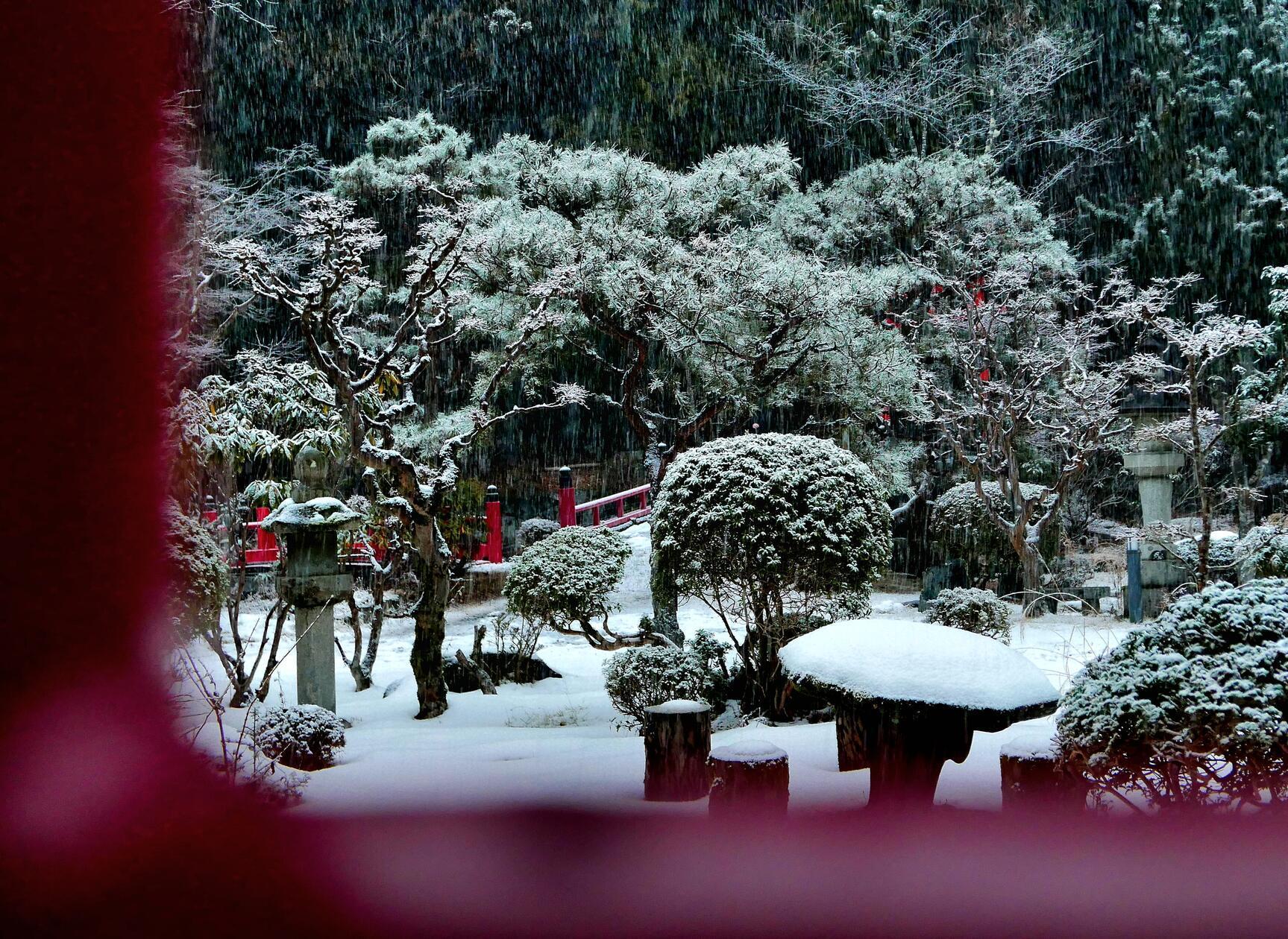Vor unserem Quartier im Kloster von Kōyasan liegt ein schöner Zen-Garten. Plötzlich schneit es und alles ist weiß überzuckert.