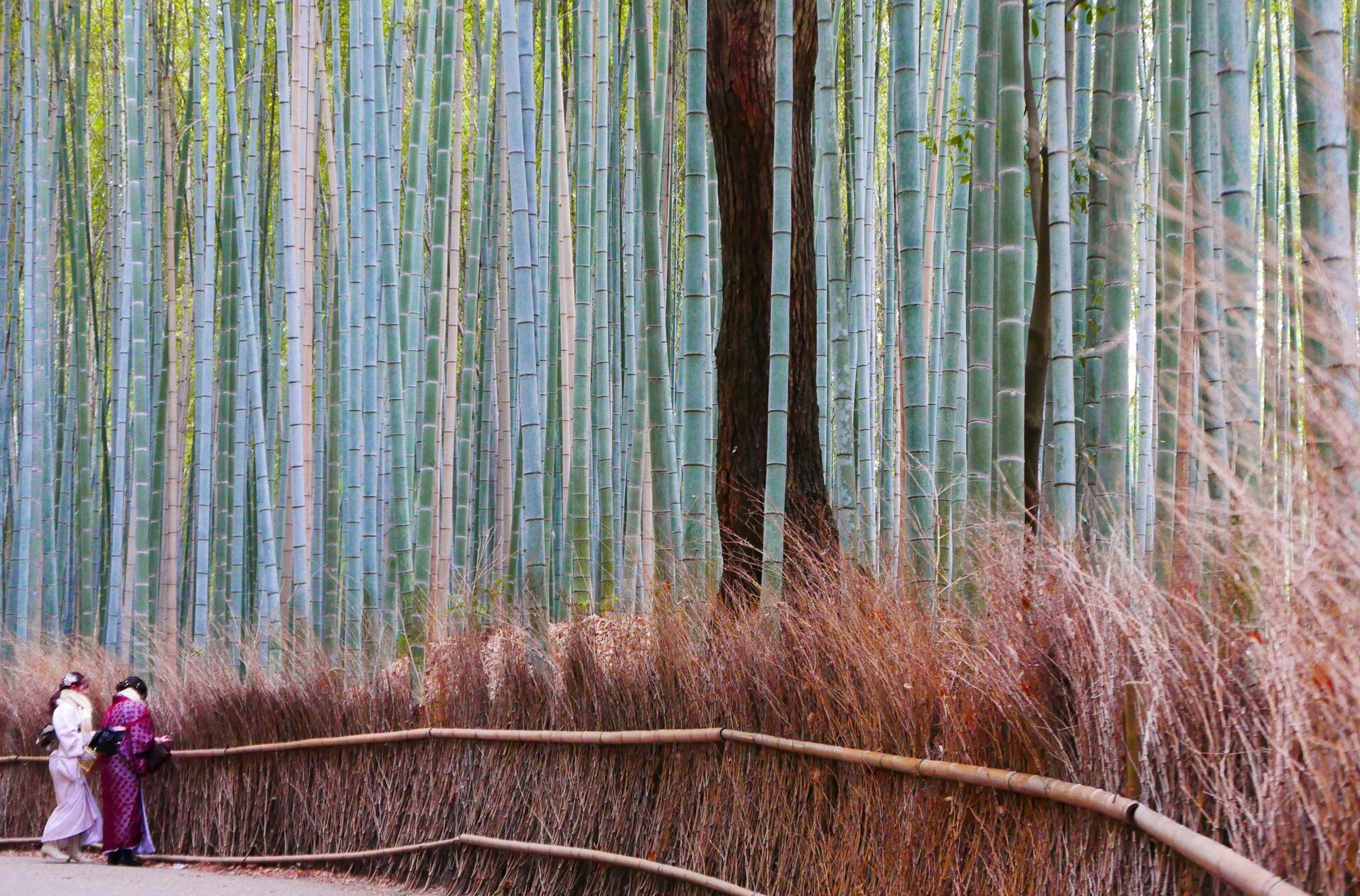 Hier herrscht eine ganz besondere Stimmung.