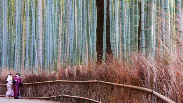 Hier herrscht eine ganz besondere Stimmung.