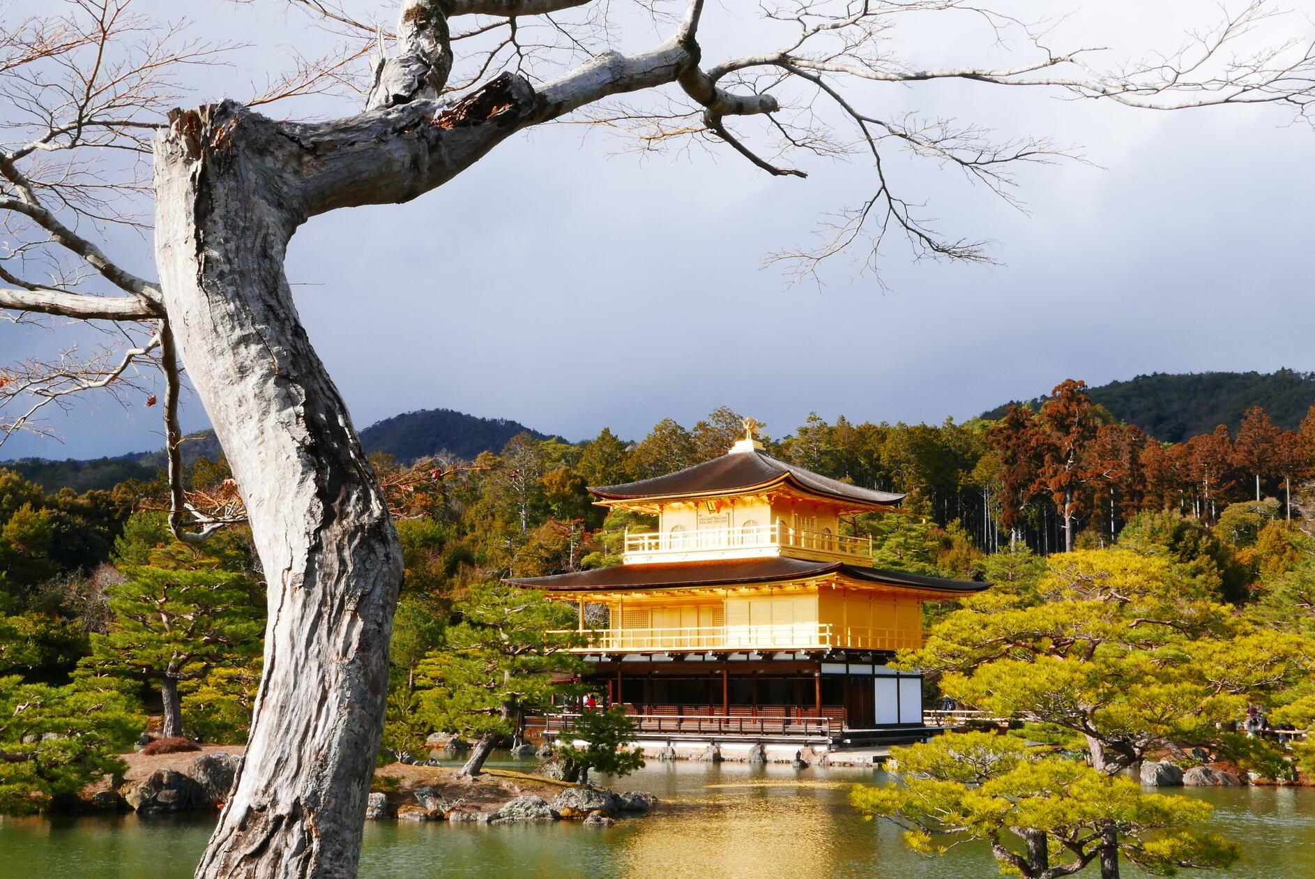 Danach sollten Sie unbedingt zum goldenen Tempel fahren - schöner kann Architektur kaum sein.