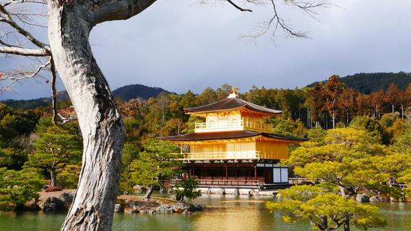 Danach sollten Sie unbedingt zum goldenen Tempel fahren - schöner kann Architektur kaum sein.