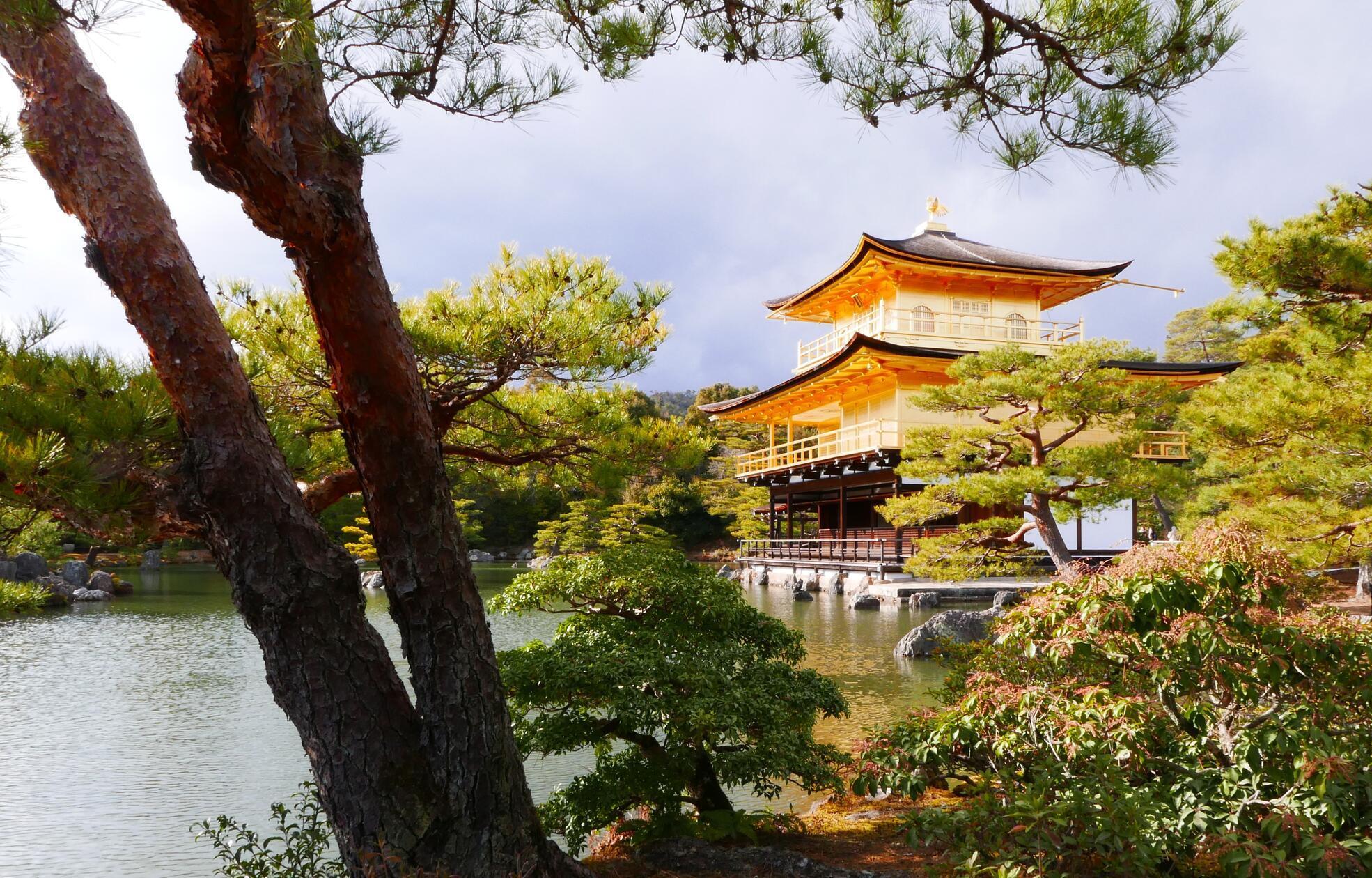 Danach sollten Sie unbedingt zum goldenen Tempel fahren - schöner kann Architektur kaum sein.