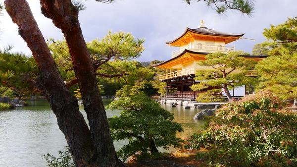 Danach sollten Sie unbedingt zum goldenen Tempel fahren - schöner kann Architektur kaum sein.