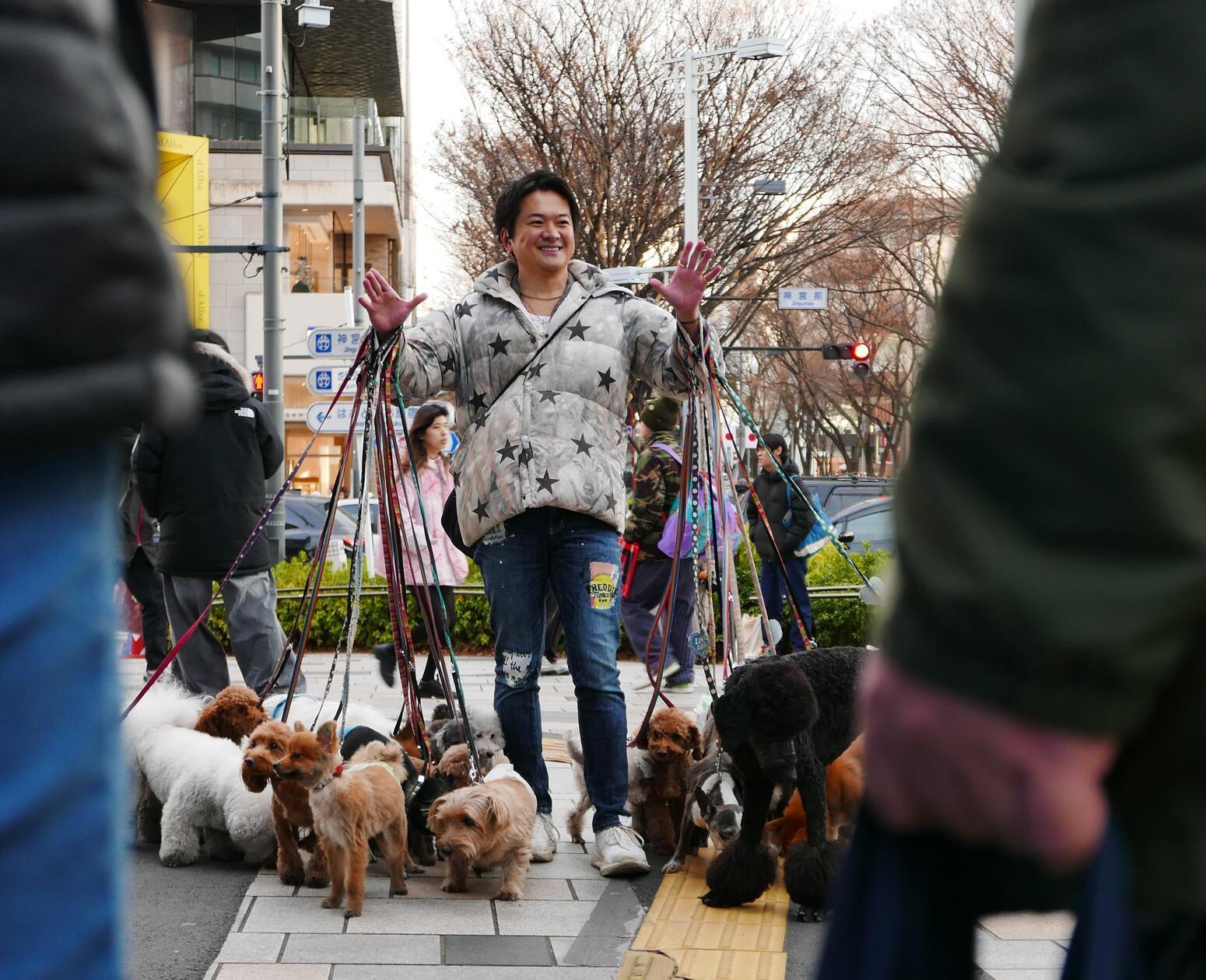 Extrovertiert sind viele Menschen in Tokio - wie dieser Hundehalter.