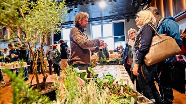 Am Samstag, 15. Februar, können Pflanzenfans im Rahmen der Biofachmesse auf dem Nürnberger Saatgutfestival von 11 Uhr bis 17 Uhr stöbern. In der Kulturwerkstatt auf AEG gibt es eine Tauschbörse, außerdem wartet ein Kinderprogramm sowie verschiedene Vorträge auf die Besucher. Der Eintritt der Veranstaltung ist kostenlos, Spenden sind dort gern gesehen.