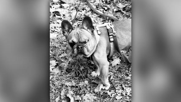 2025-02-14_19-36_bild_erweitern