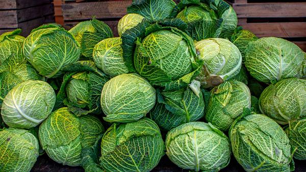 Wirsing ist ein Kopfkohl und eine Kulturvarietät d