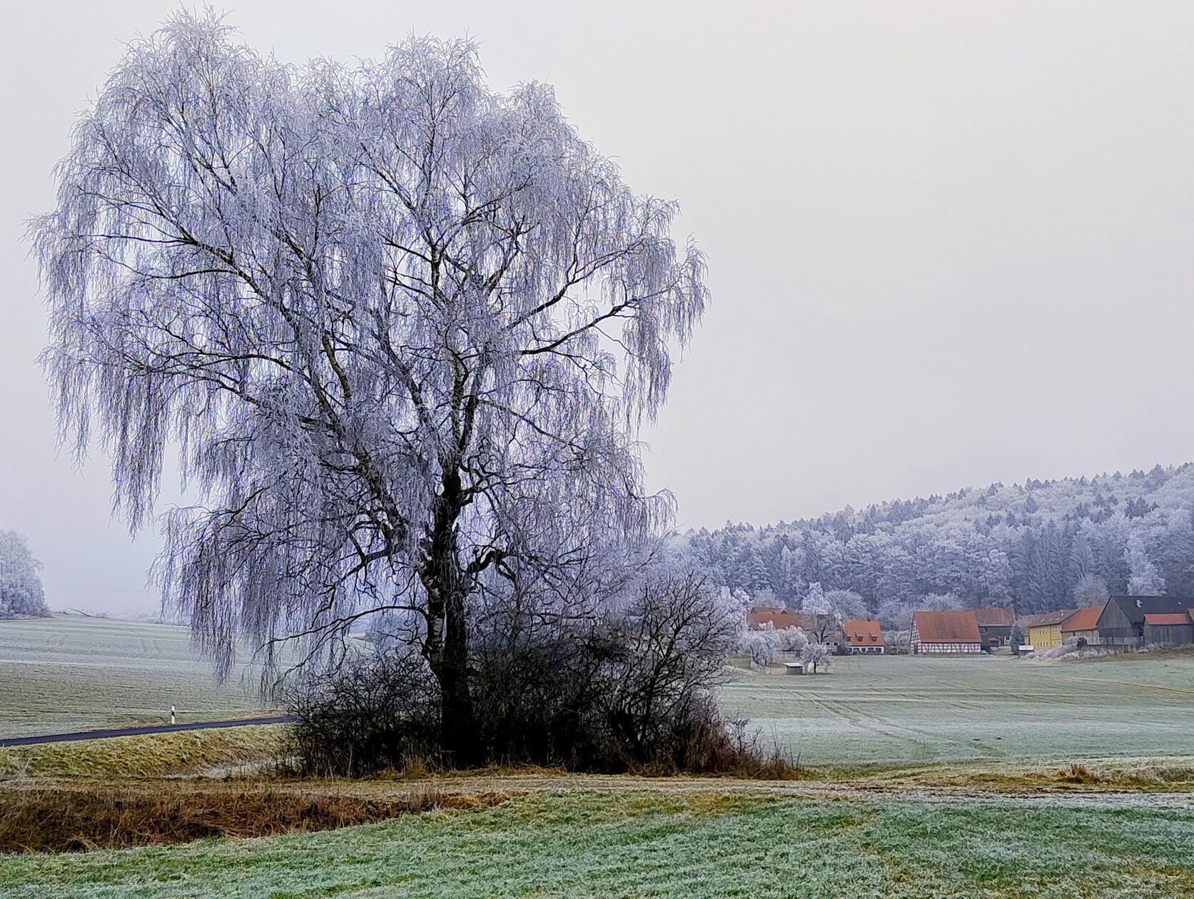 Frostige Schönheit bei Hainfeld im Birgland.