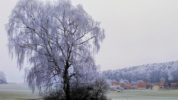 Frostige Schönheit bei Hainfeld im Birgland.