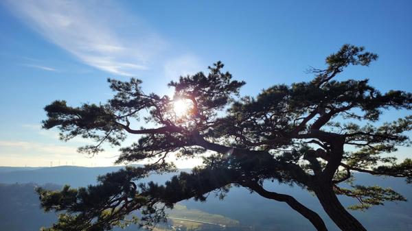 Blick vom Hohlen Fels auf den Happurger Stausee bei traumhaftem Wetter.
