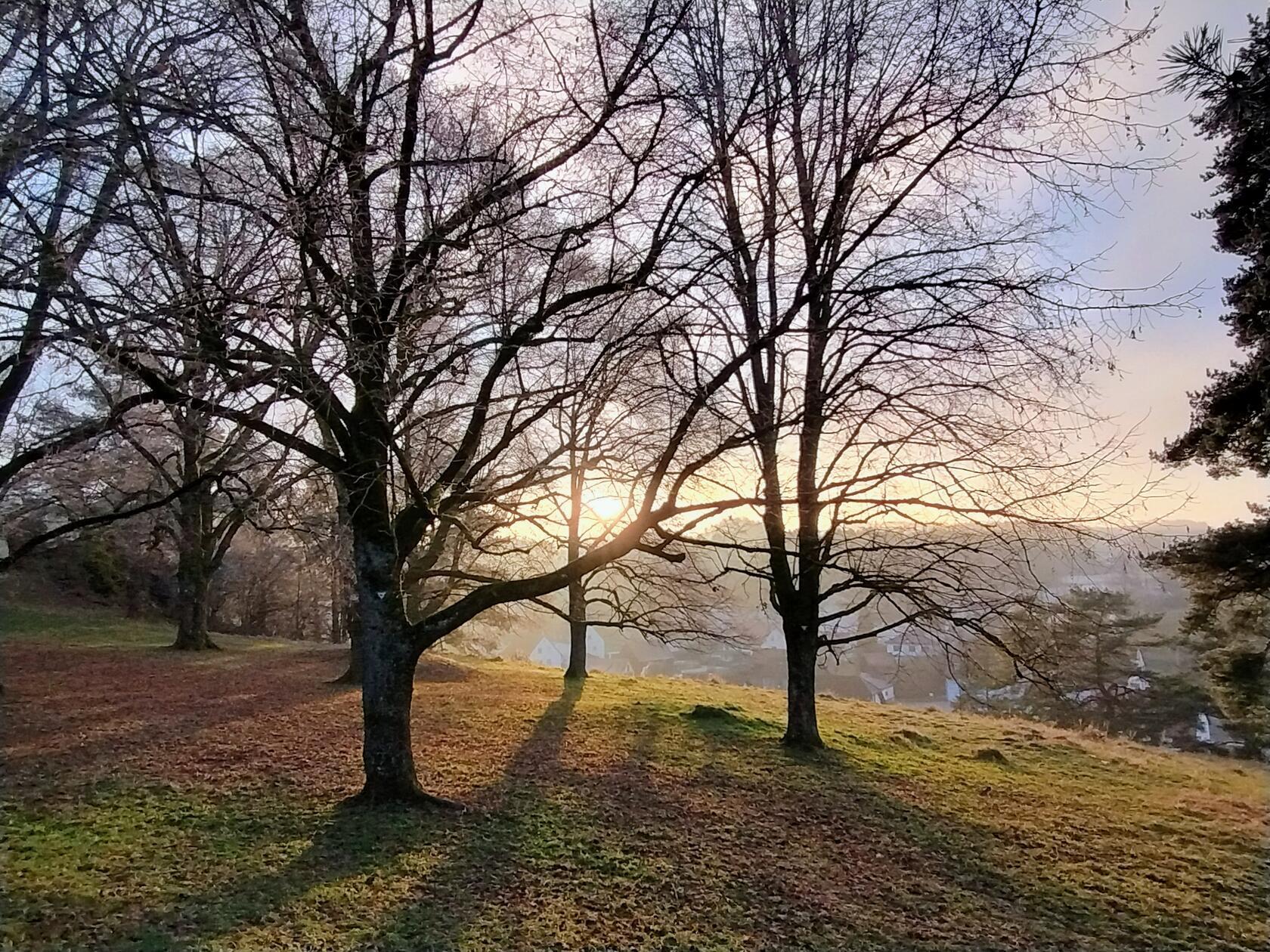 Sonnenuntergang bei den Vier Linden bei Alfeld.