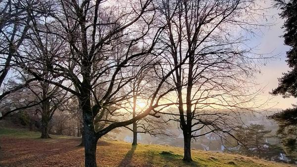 Sonnenuntergang bei den Vier Linden bei Alfeld.