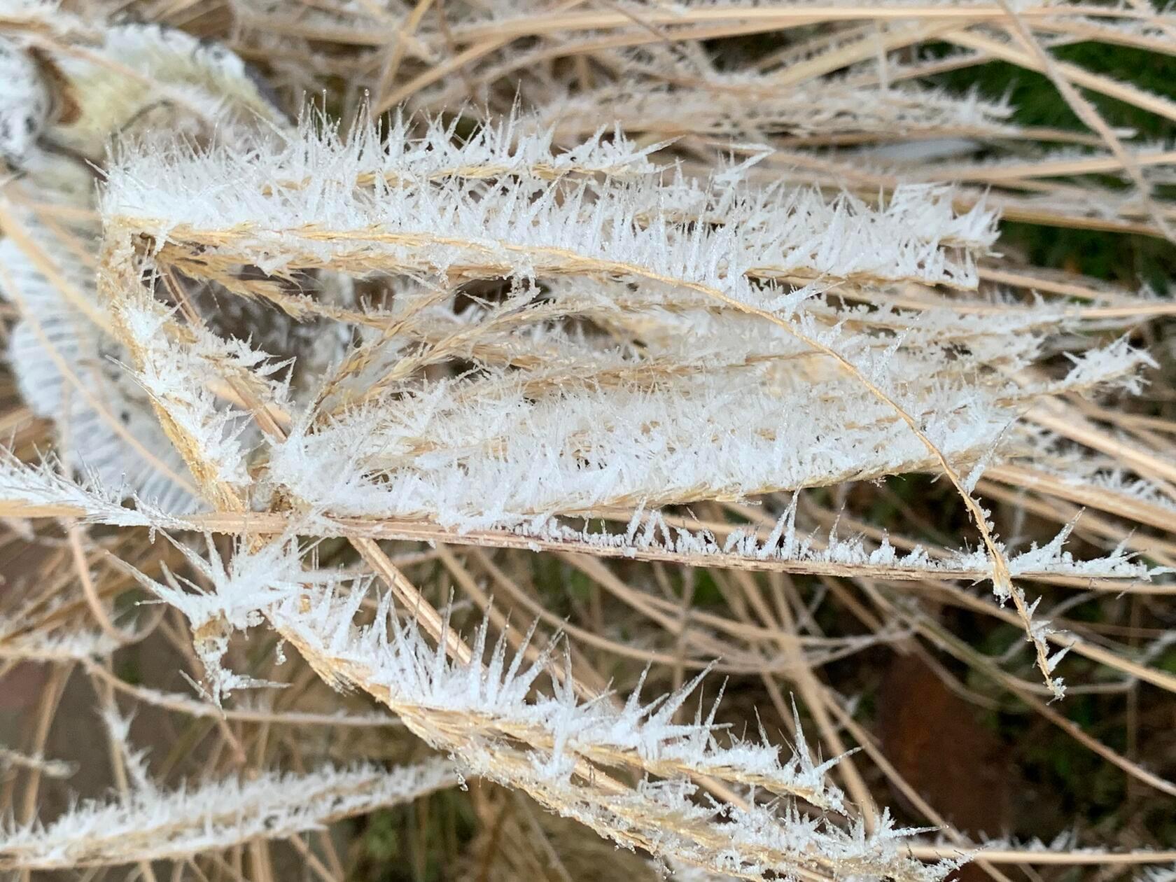 Eiskunst, fotografiert bei Alfeld.