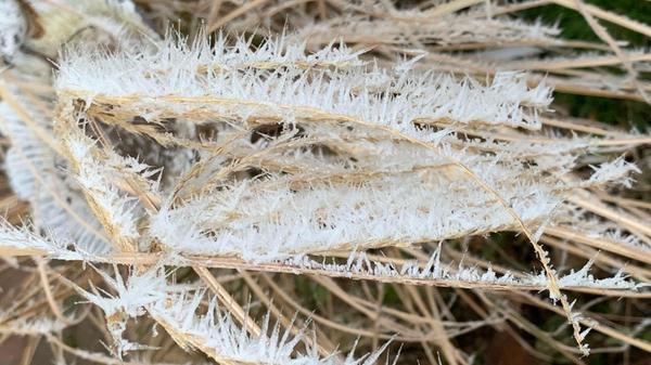 Eiskunst, fotografiert bei Alfeld.