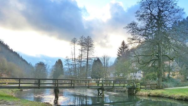 Ruhige Abendstimmung an der Pegnitz bei Rupprechtstegen.