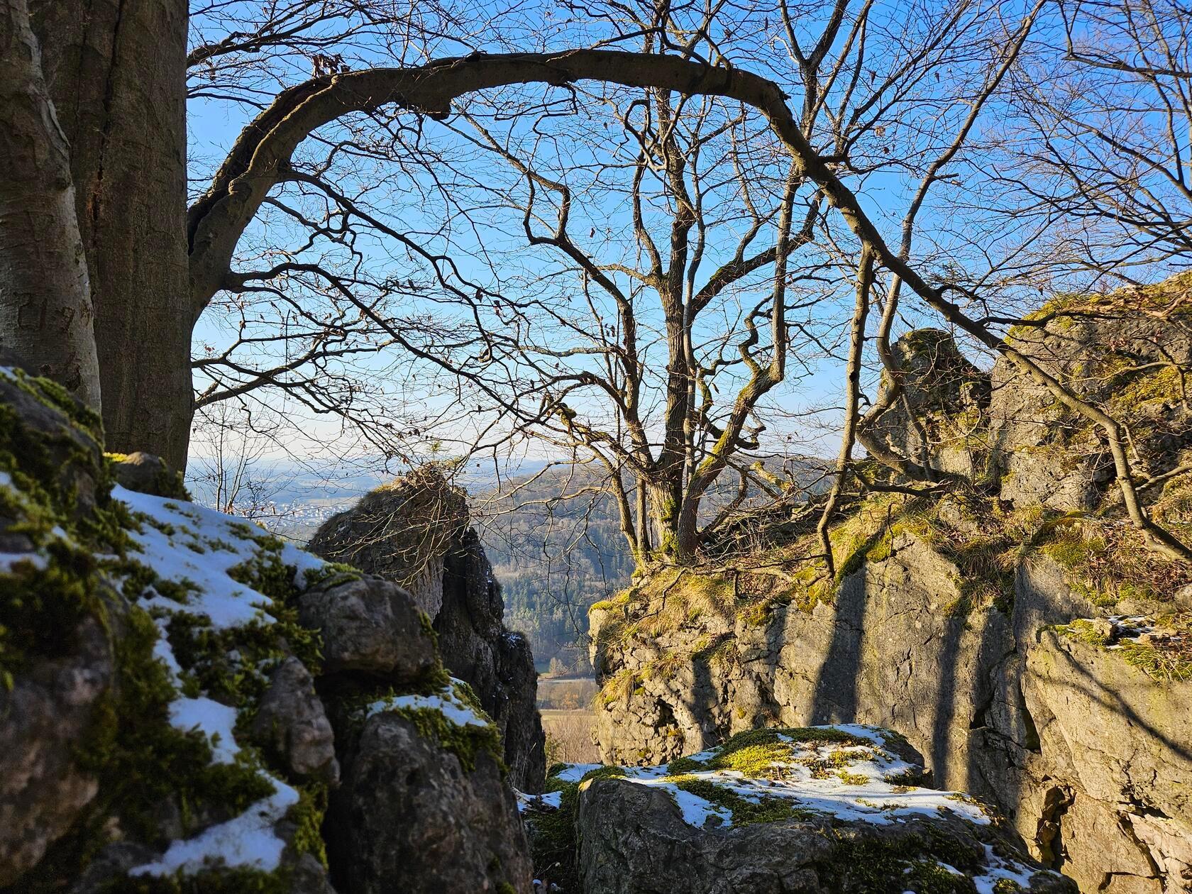 Unterwegs am Glatzenstein.