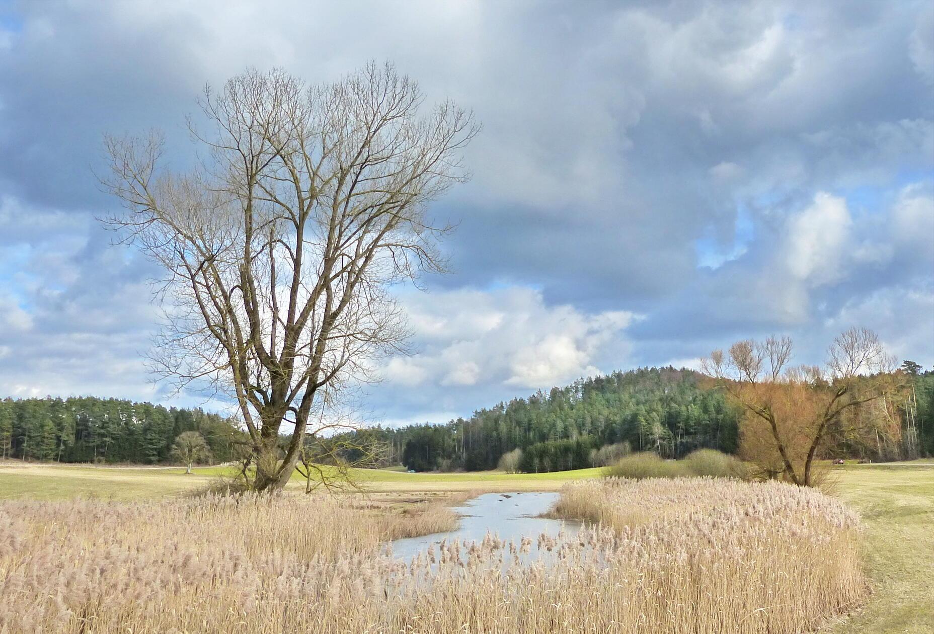 Der kleine Hüllweiher bei Kleinmeinfeld.