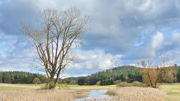 Der kleine Hüllweiher bei Kleinmeinfeld.