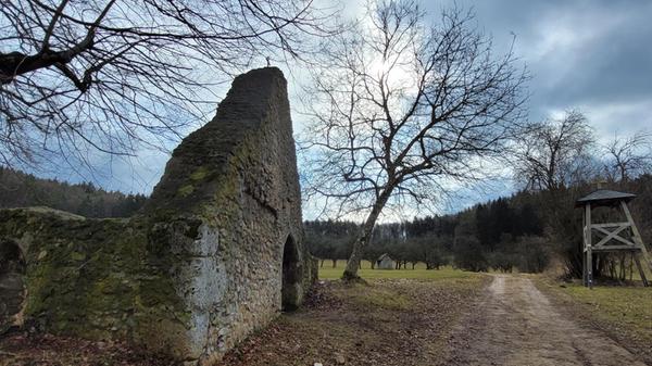 Die Kapellenruine Arzlohe.