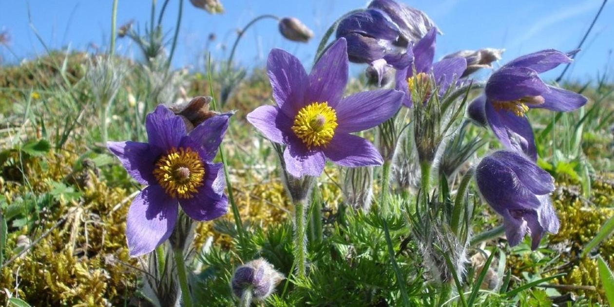 Bildergalerie: Die schönsten Leserfotos im März 2025