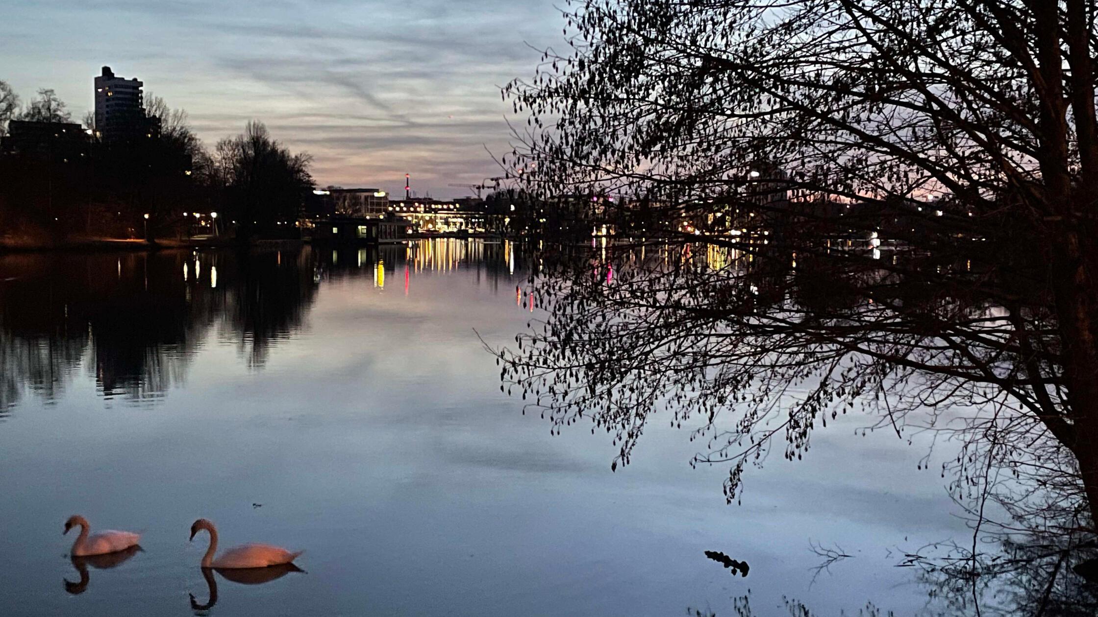 With a sky swing and sports equipment: Nuremberg creates space for young ...