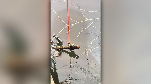 2025-03-06_11-40_bild_erweitern