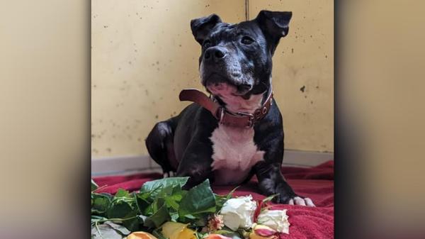 2025-03-06_21-08_bild_erweitern