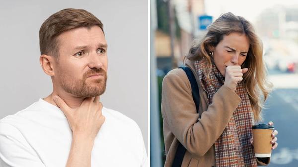 2025-03-11_07-31_collage