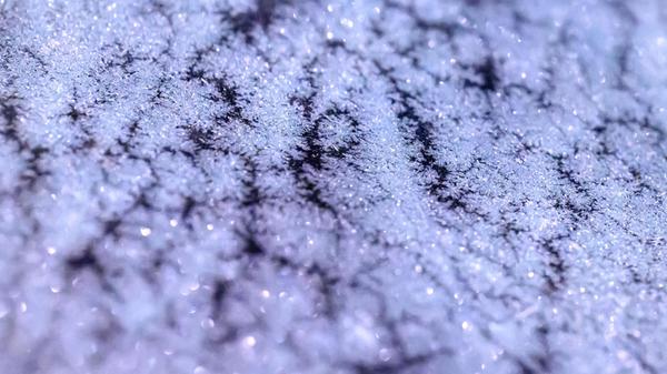 19.02.2025, Sachsen, Leipzig: Eisblumen haben sich