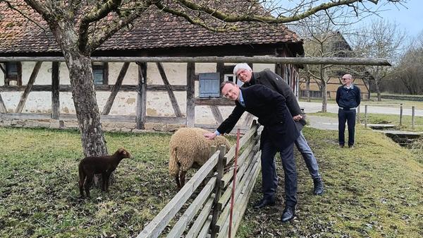 IMG_20250313_150050891_HDR