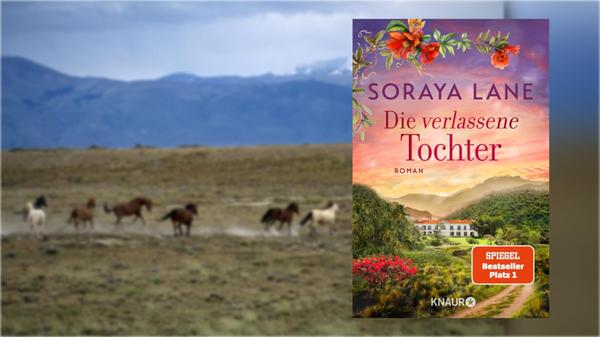 2025-12-11_08-04_collage